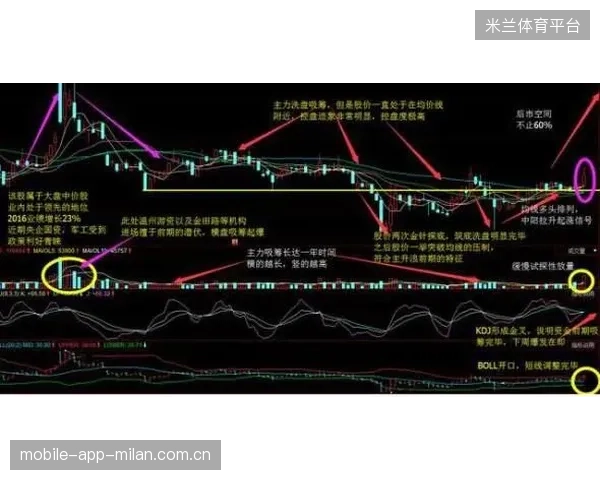 波尔图准备签下欧洲黑马的主力核心